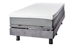 Golden Passport Hi Low Adjustable Bed