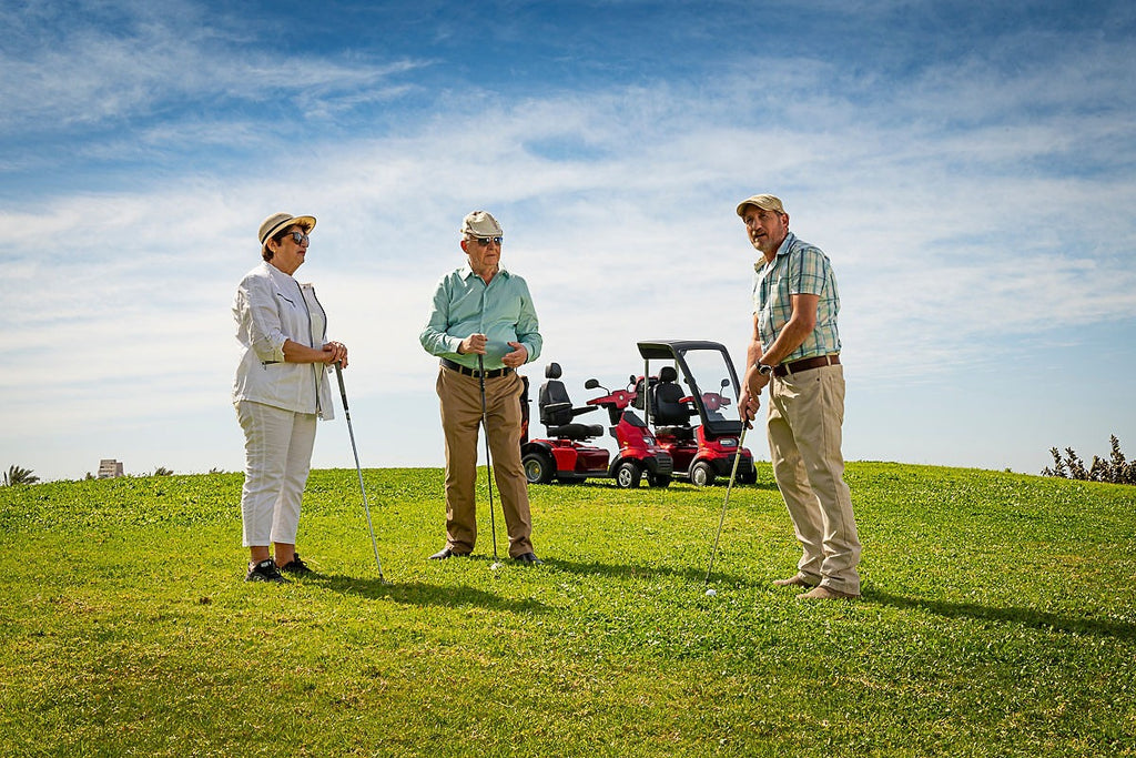 Afikim Afiscooter S4 Electric Mobility Scooter