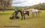 Pride Wrangler Heavy Duty Mobility Scooter